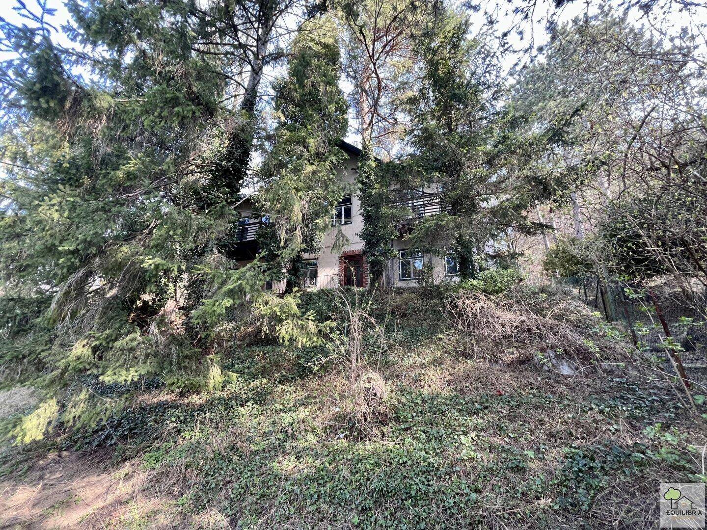Wohnhaus, umgeben von dichten Bäumen und Vegetation, auf einem bewaldeten Hanggrundstück gelegen.