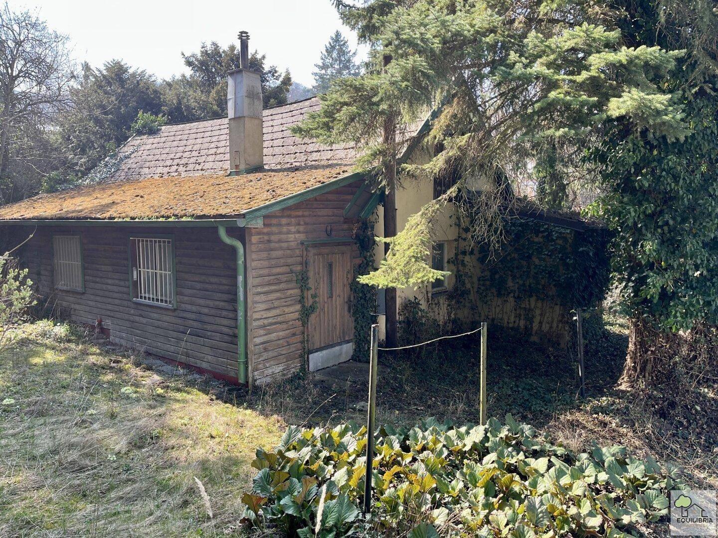 Rustikales Holzgebäude mit Kamin und Moos bewachsenem Dach, umgeben von Bäumen und Sträuchern.