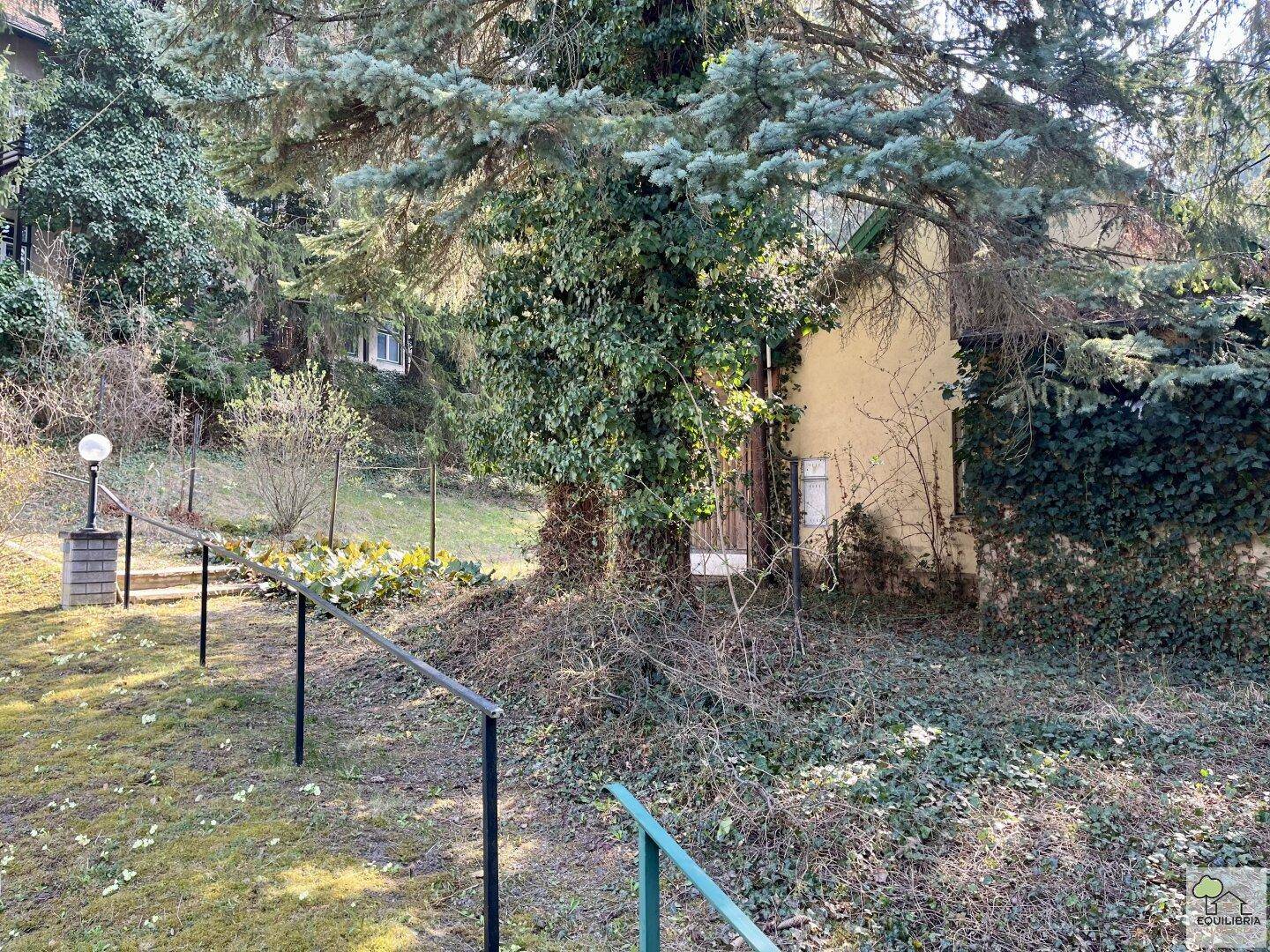 Sonniger Gartenbereich mit Steintreppen, Rasenflächen und üppiger Vegetation, die zu einem kleinen Gebäude führt.