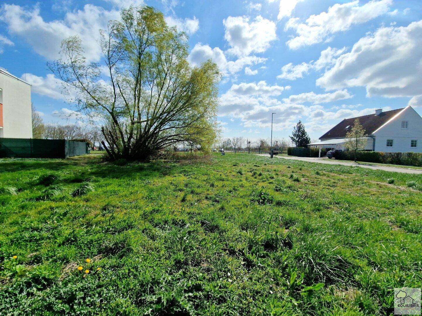 TRAUMHAFTES BAUGRUNDSTÜCK IN BESTER LAGE – 772 M² IN DONNERSKIRCHEN --NAHE BAHNHOF und GOLFCLUB - Ansicht 3