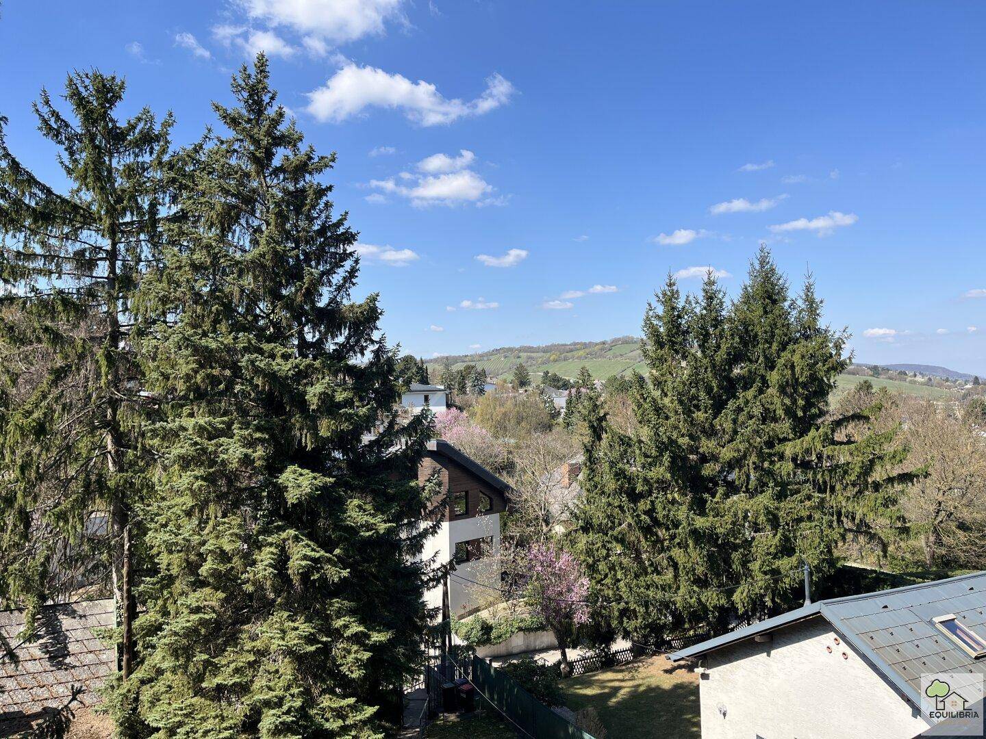 Weitläufiger Ausblick über eine grüne Landschaft mit Bäumen, Häusern und einem blauen Himmel.