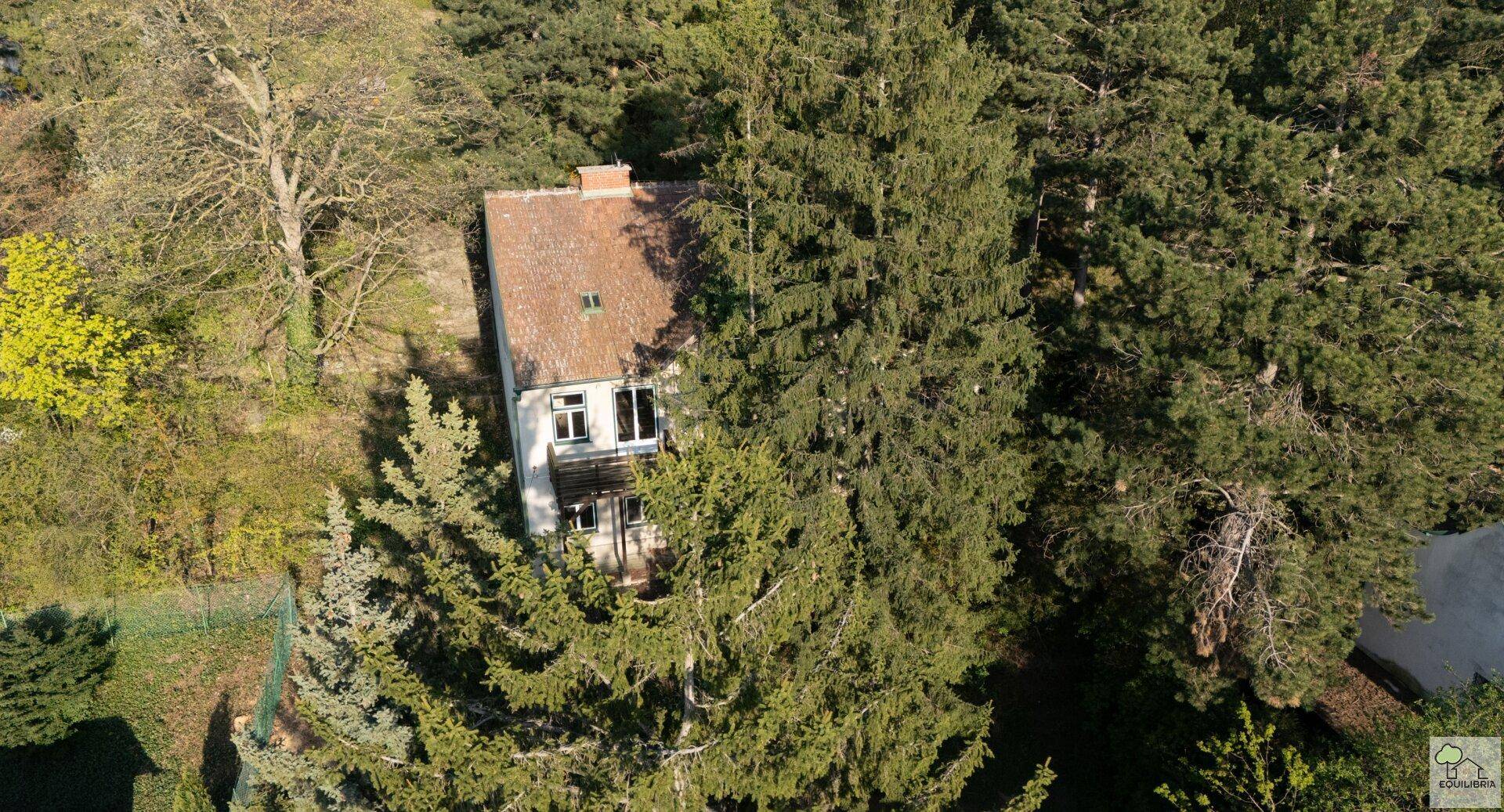 Luftaufnahme eines Hauses mit Ziegeldach, eingebettet in eine dichte Baumlandschaft.