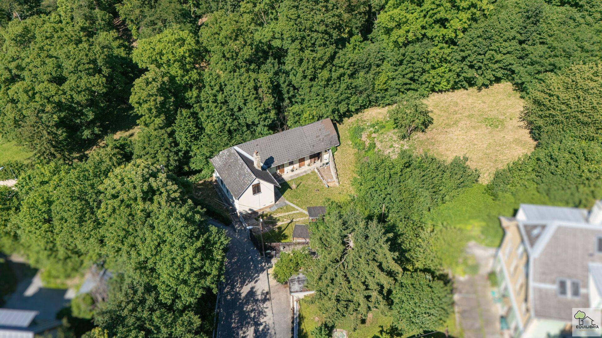 Detaillierte Luftaufnahme eines charmanten Hauses inmitten einer grünen Waldlandschaft.