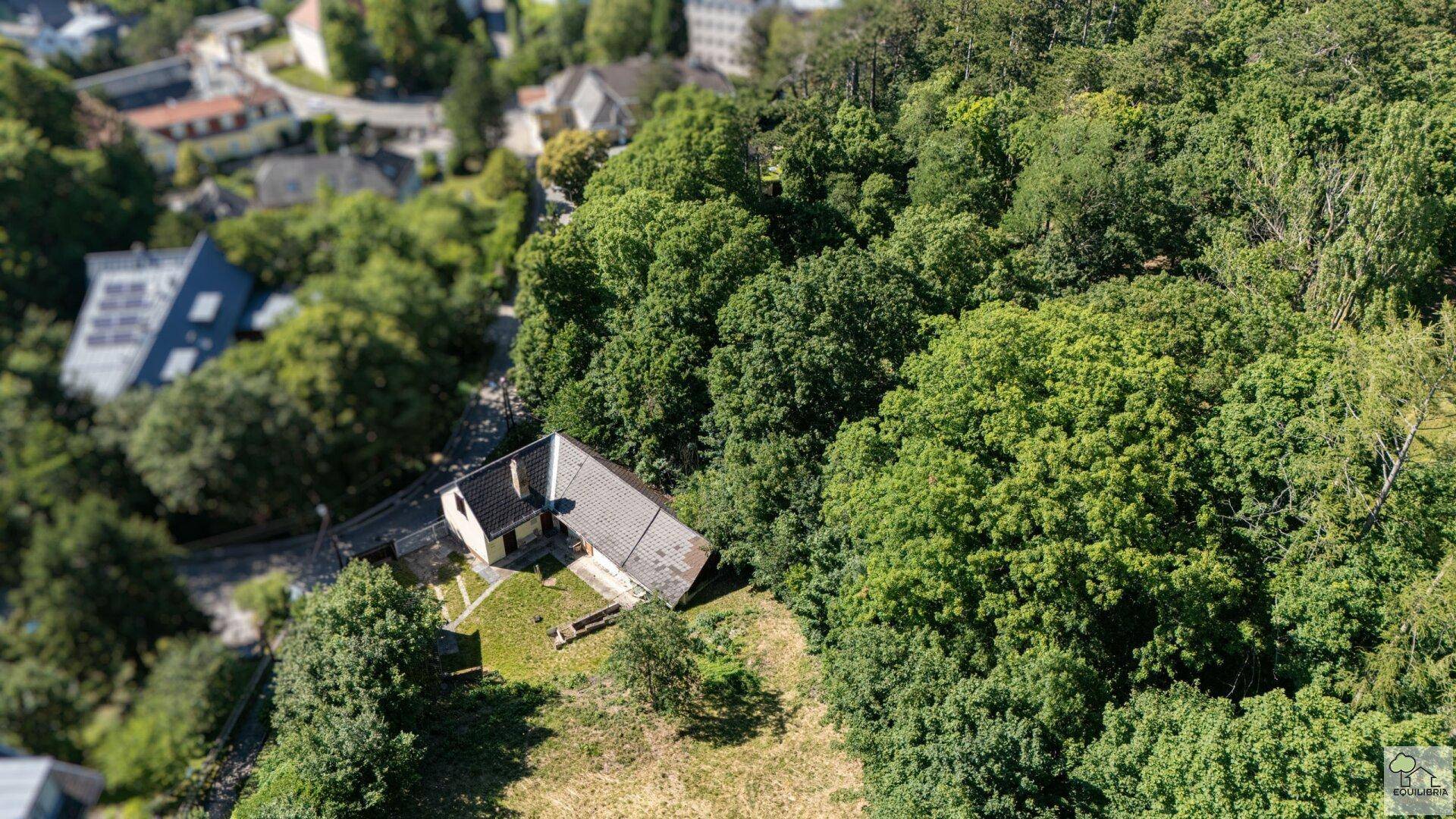 Exklusives Baugrundstück in Klosterneuburg/Weidling ! – pohled 5
