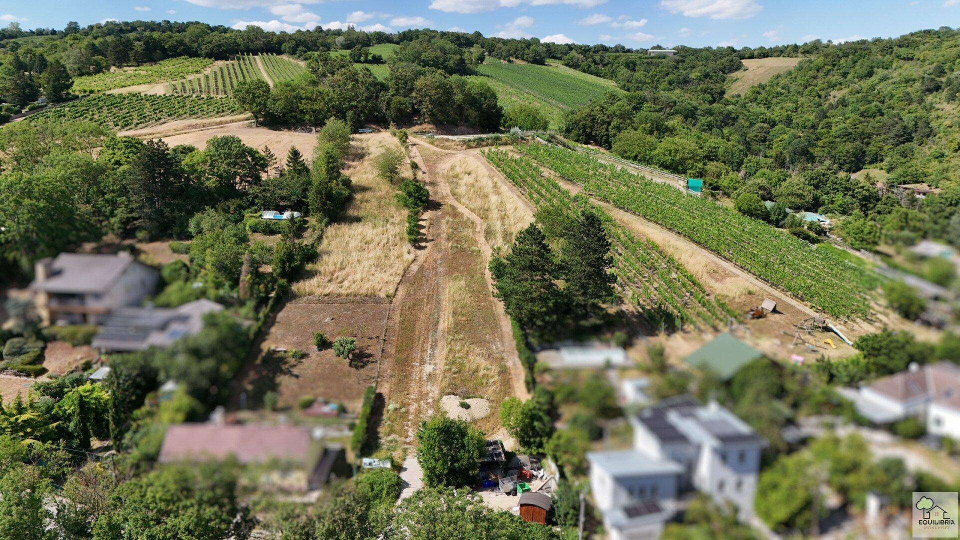 Luftaufnahme einer hügeligen Landschaft mit Weinbergen, Häusern und üppiger Vegetation unter blauem Himmel.