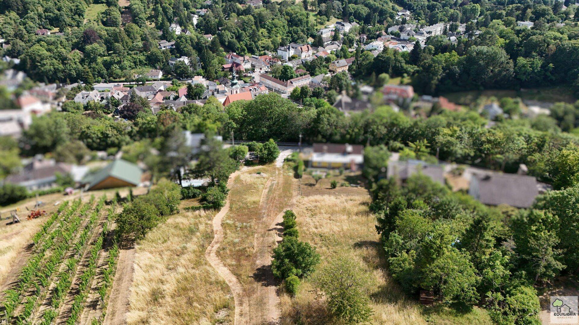 Weitläufige Luftaufnahme einer ländlichen Gegend mit einem Dorf, umgeben von grünen Hügeln und Weinbergen.