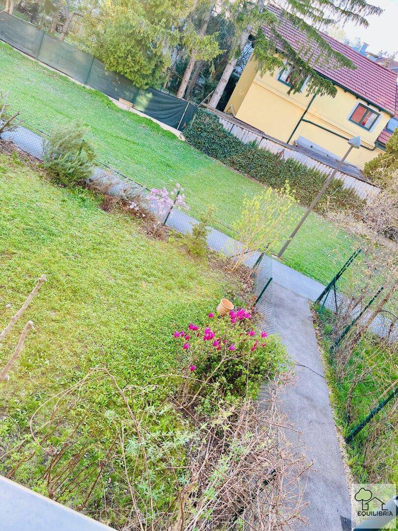 Gepflegter Gartenbereich mit Rasenfläche, Sträuchern und einem Weg, umgeben von viel Grün.