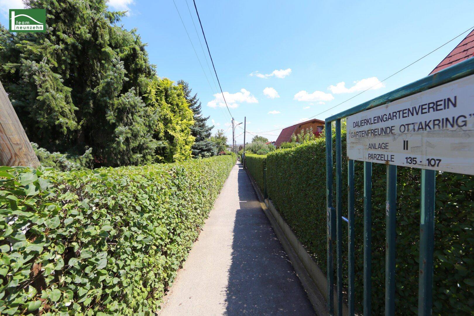 Schmaler Weg zwischen hohen Hecken, der zu einem Kleingartenverein führt.