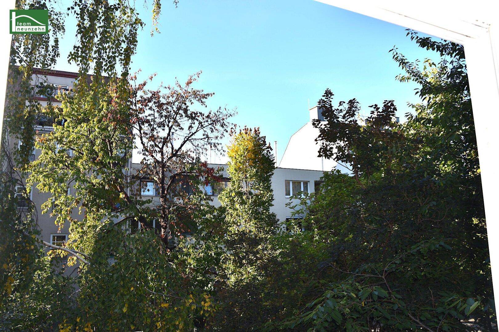 Grüner Ausblick aus dem Fenster mit Bäumen und umliegenden Gebäuden unter blauem Himmel.