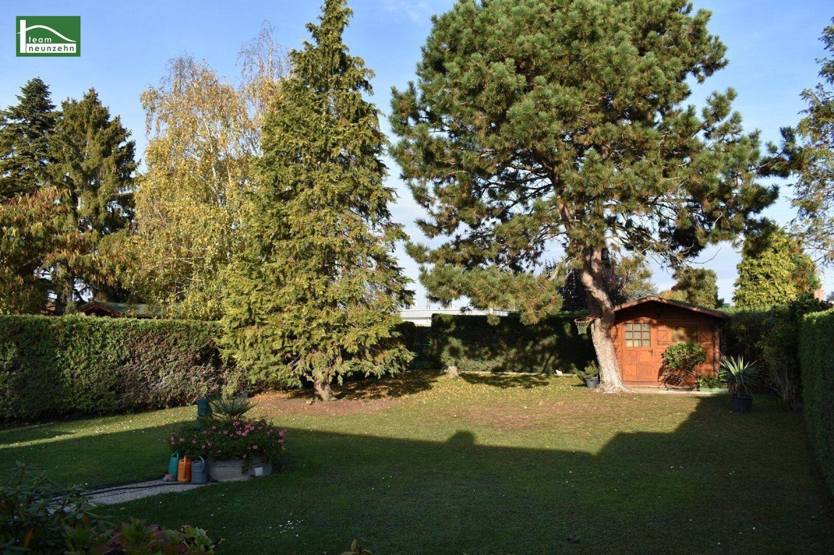 Großer, gepflegter Garten mit Rasenfläche, hohen Bäumen und einem kleinen Holzschuppen im Hintergrund.