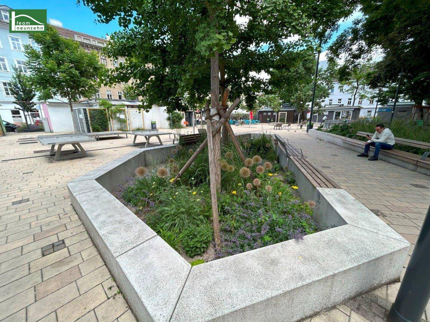 Öffentlicher Platz mit Sitzbänken, Bäumen und Blumenbeeten, der zum Verweilen einlädt.