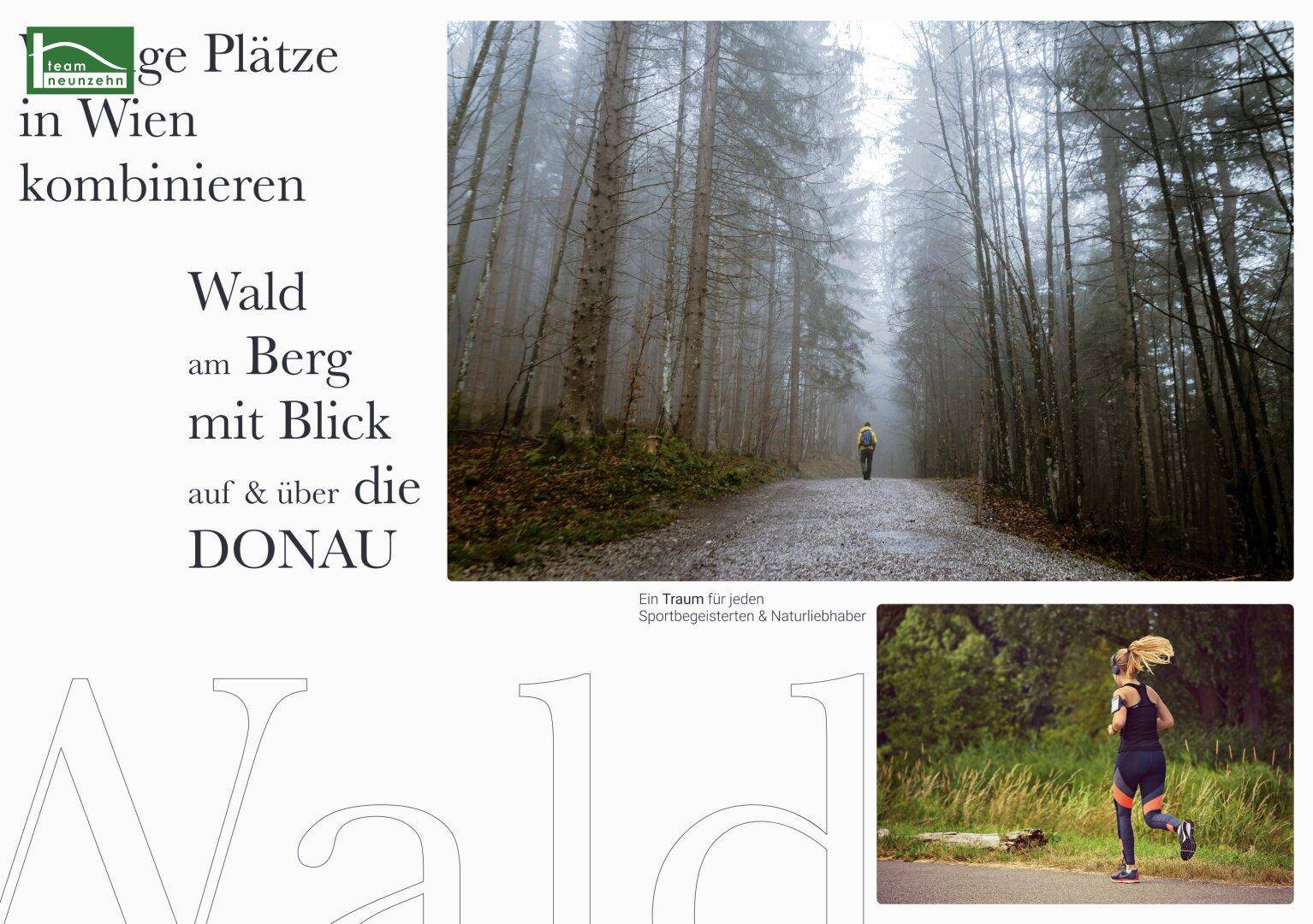 Slide 7