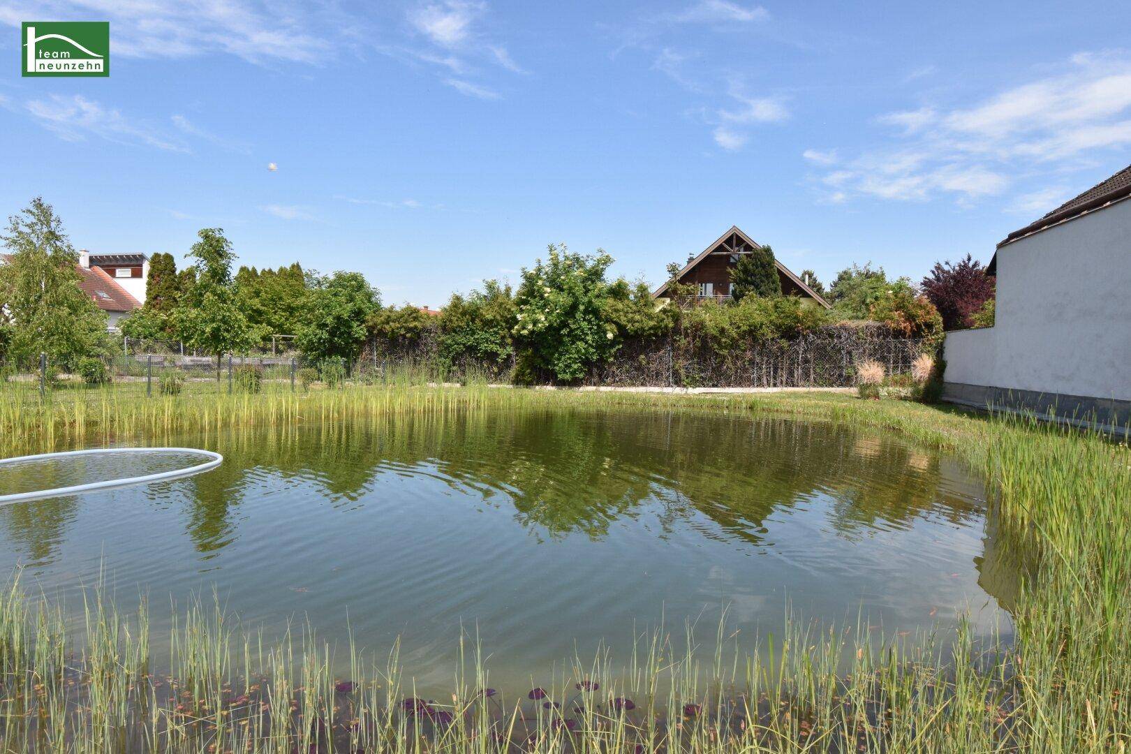 Natürlicher Teich mit Schilf und Spiegelungen, umgeben von grüner Landschaft und Häusern.