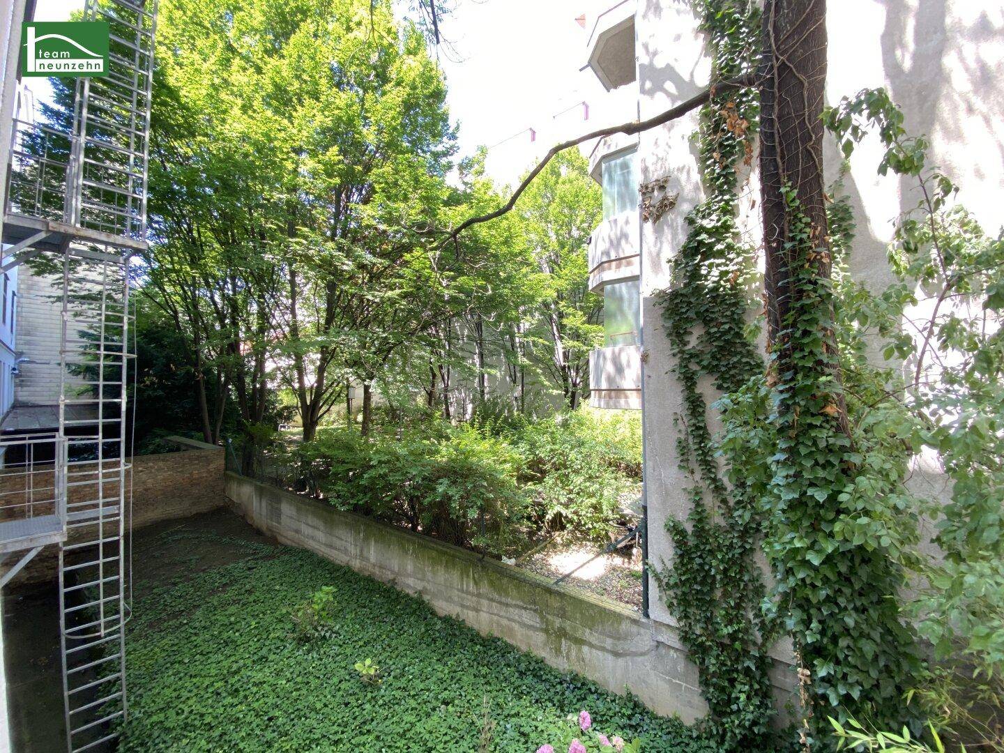 Grüner Innenhof mit üppiger Vegetation, Bäumen und Efeu an der Gebäudewand.