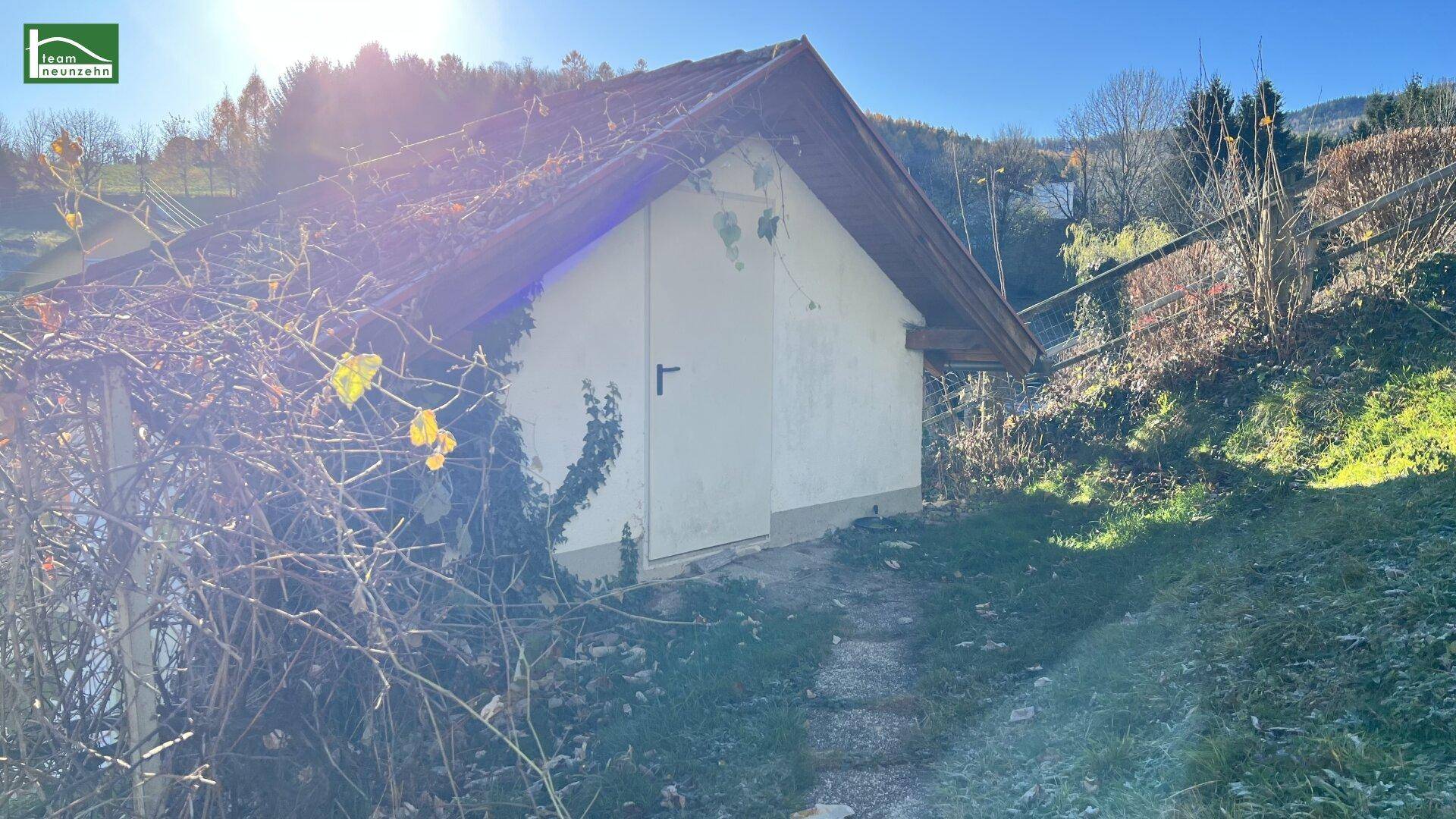 Kleines Gartenhaus oder Schuppen mit bewachsenen Wänden in sonniger, ländlicher Umgebung.