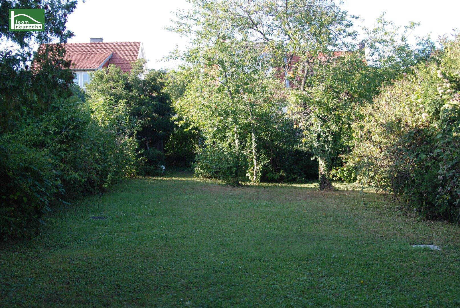 Weitläufiger Garten mit Rasenfläche, umgeben von Bäumen und Sträuchern.