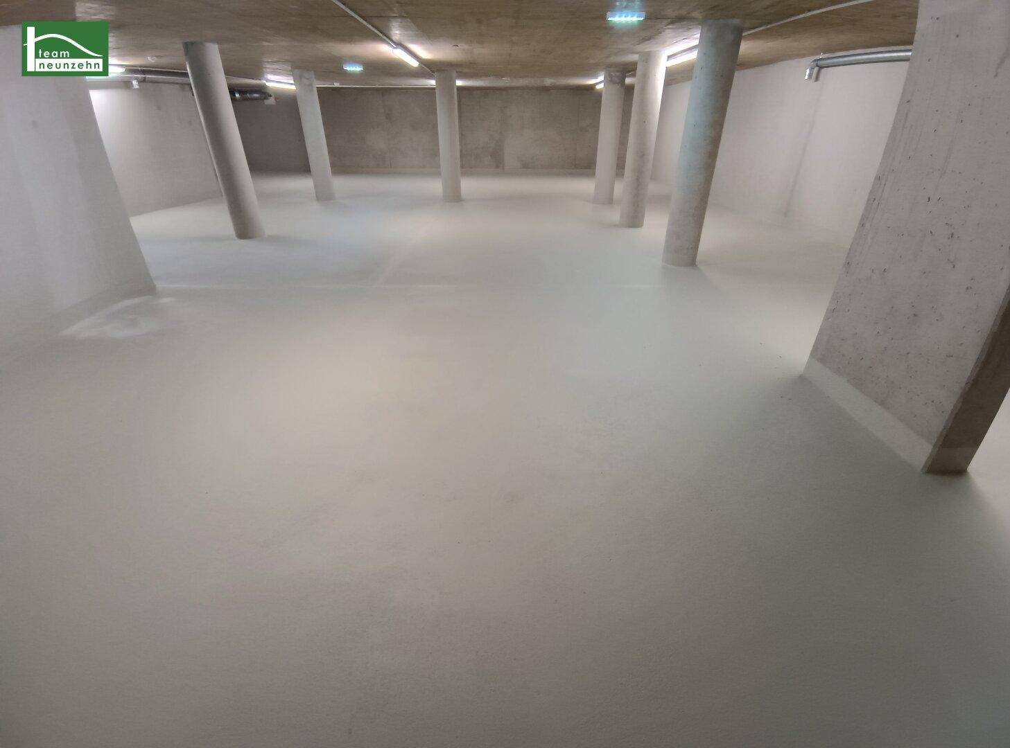 Geräumiger Kellerbereich mit Betonboden und mehreren tragenden Säulen, ideal als Lagerfläche.