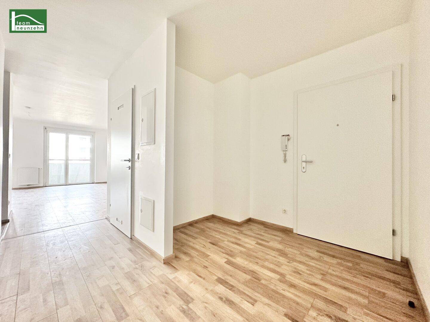 Heller Eingangsbereich mit Laminatboden und der modernen Wohnungstür, die in den Wohnbereich führt.