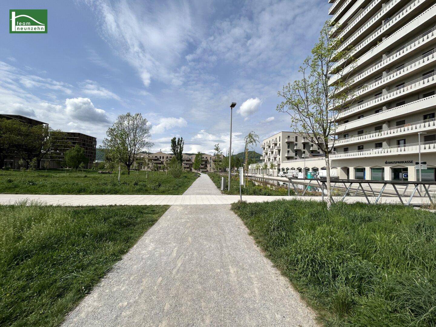 Reininghauspark