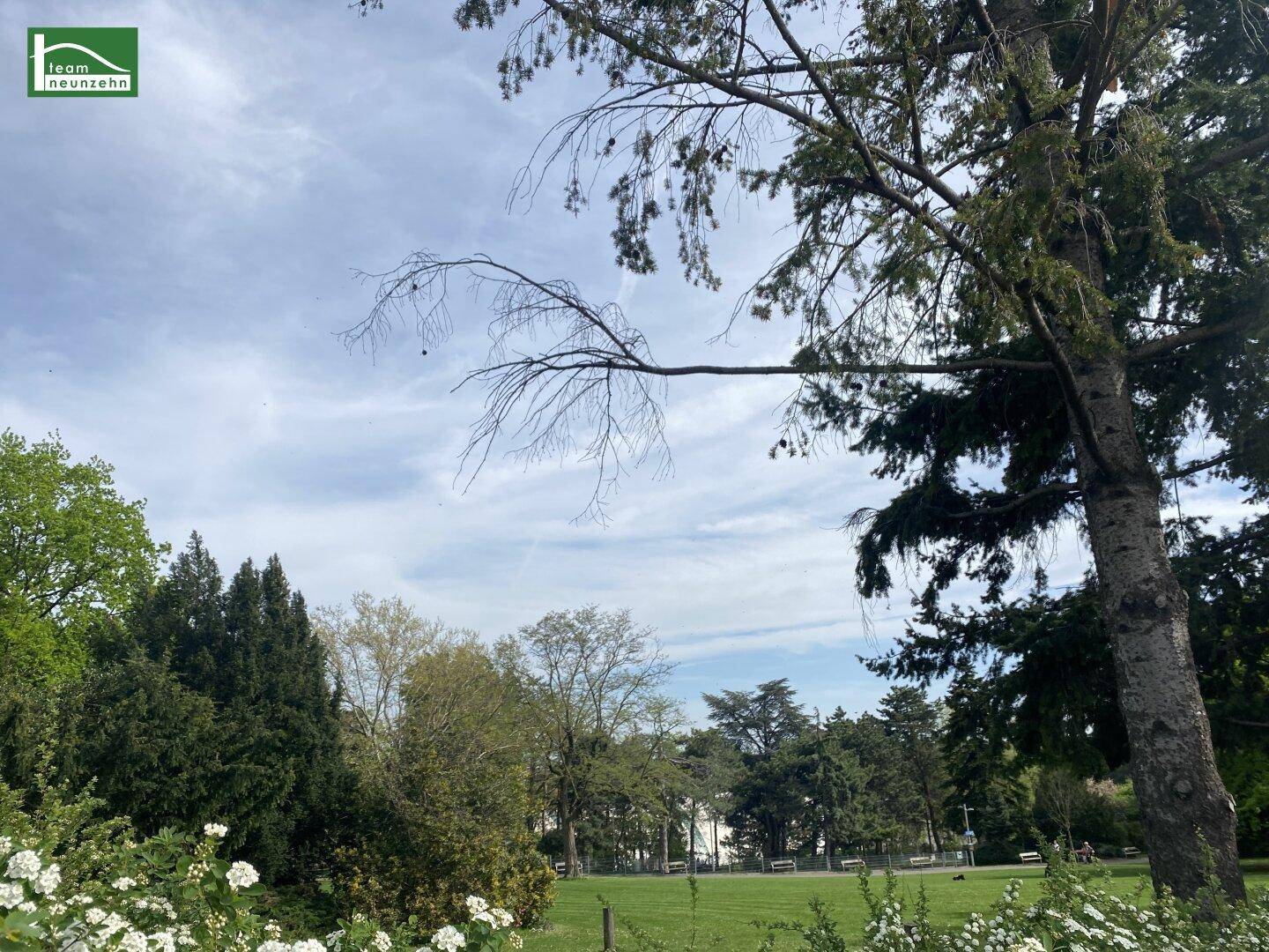 Weitläufige Grünfläche mit hohen Bäumen und blühenden Sträuchern unter blauem Himmel.