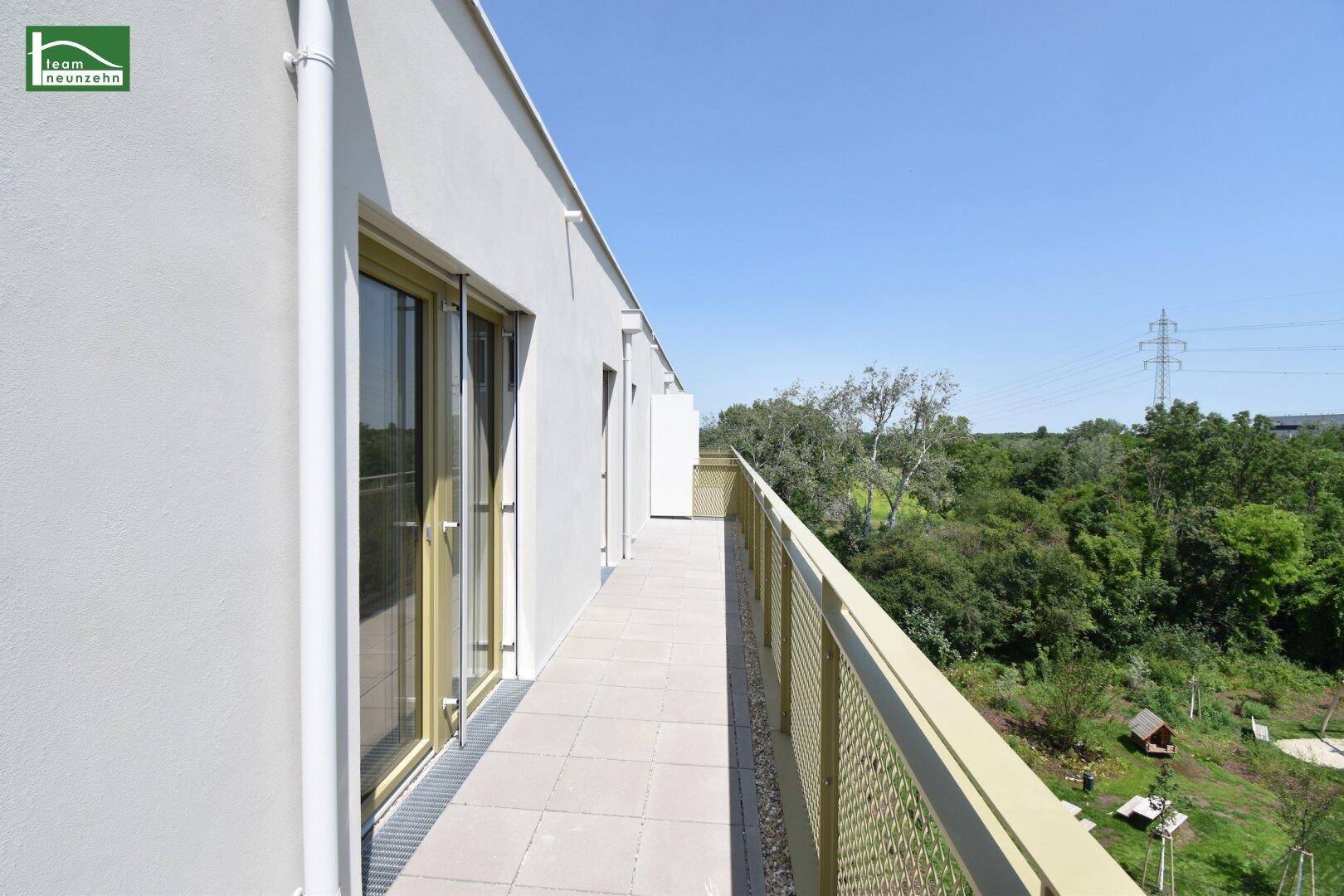 Slide 9