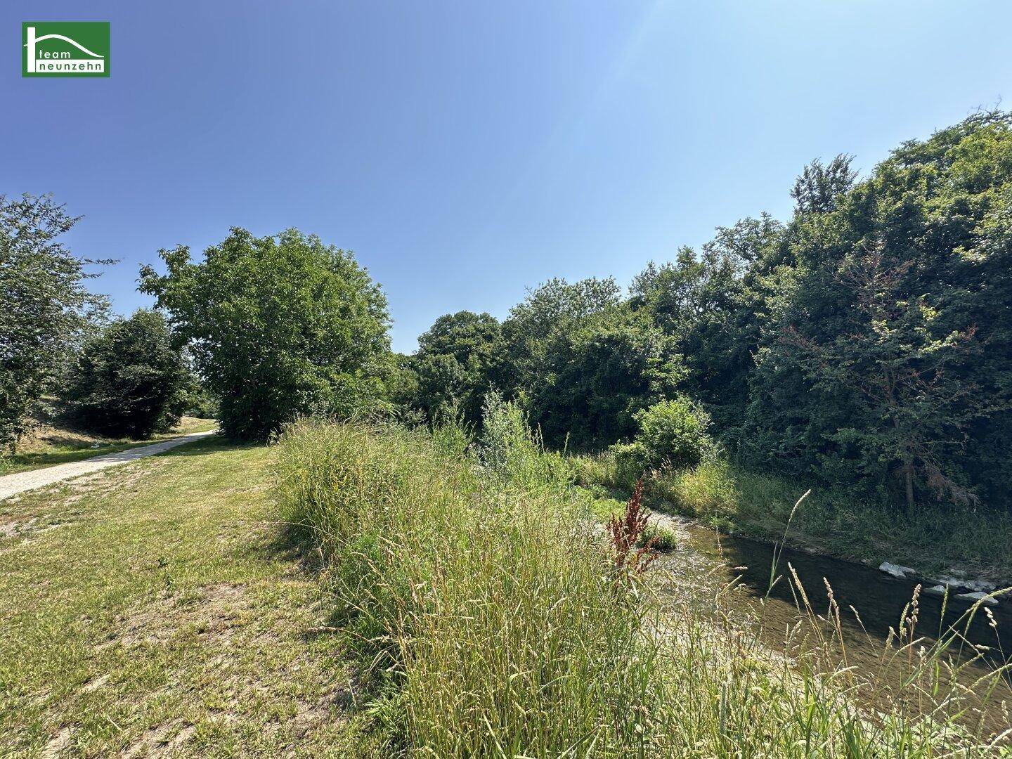 Fluss Schwechat
