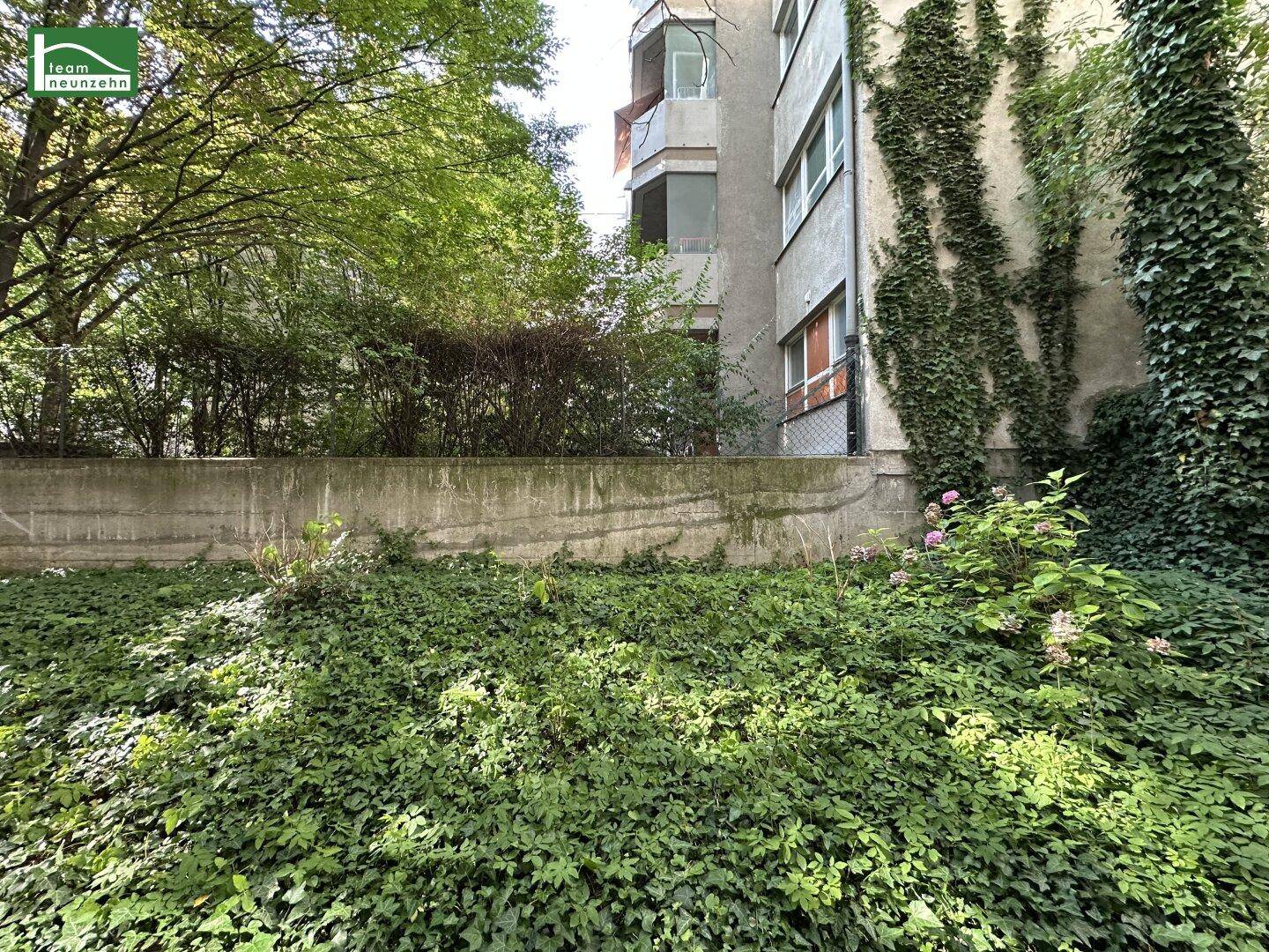 Grüne Umgebung mit üppiger Vegetation und Blick auf die Gebäudefassade eines älteren Wohnhauses.