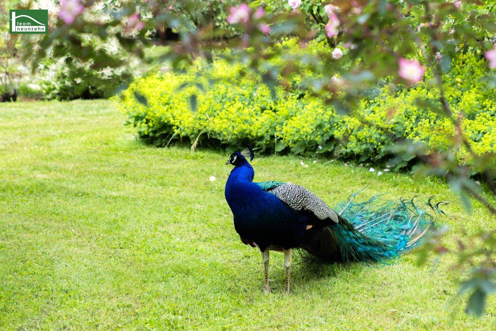 (c) GEOPHO_AVORIS_Fürstengarten_Schlosspark Eggenberg