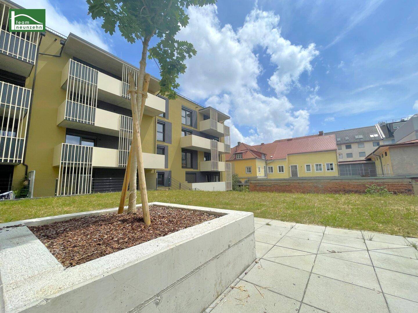 Junger Baum in einem Betonkübel im begrünten Innenhof der Wohnanlage.
