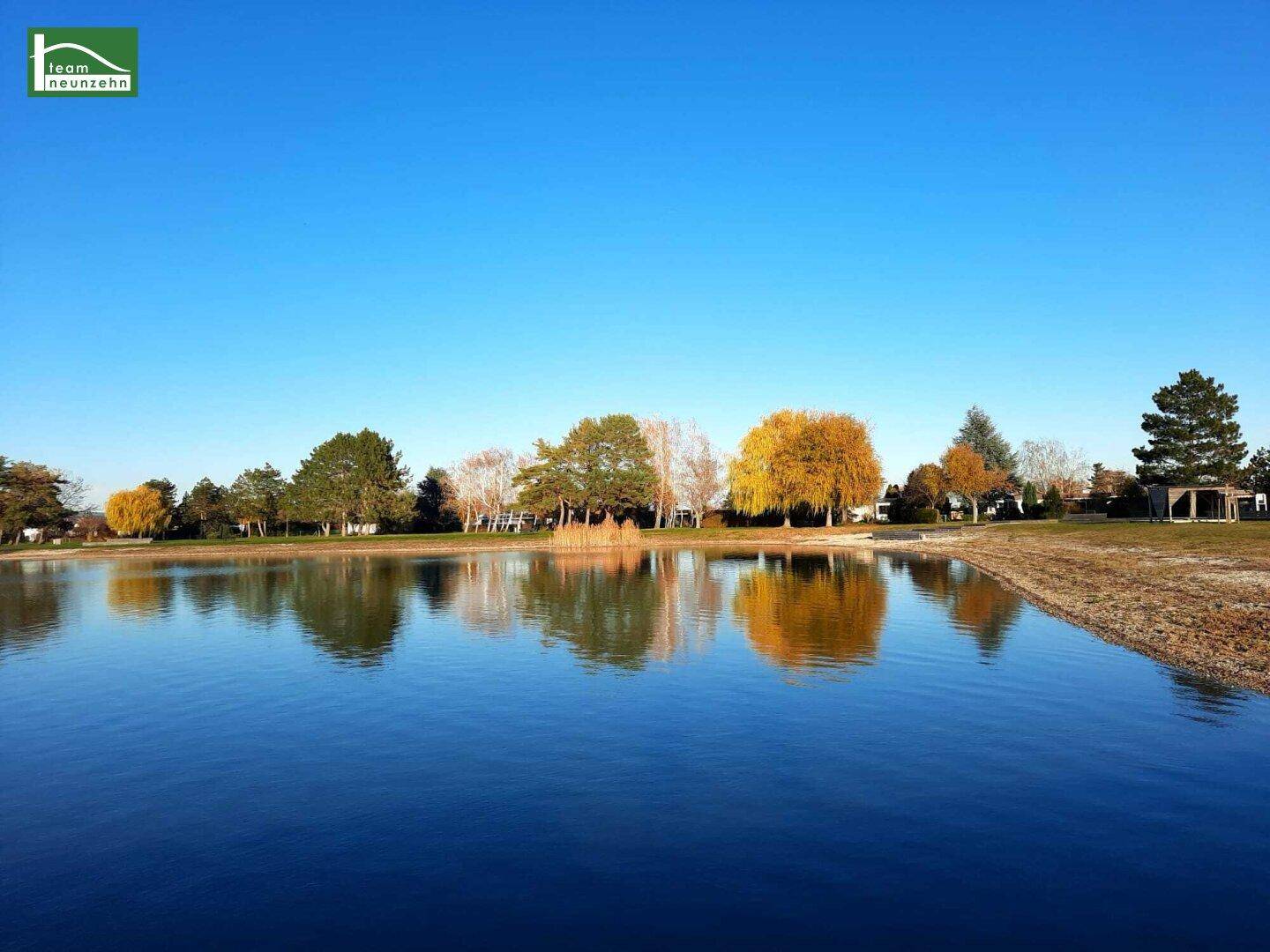 Malerischer See mit Bäumen am Ufer unter einem klaren blauen Himmel.
