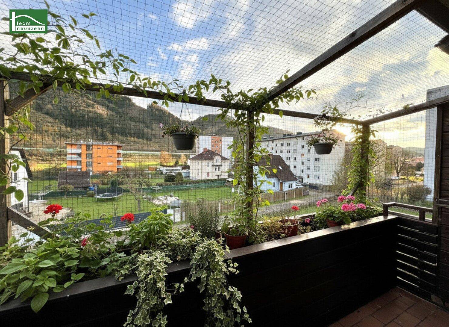Begrünte Terrasse mit Pflanzen und weitem Blick auf die umliegende Landschaft.