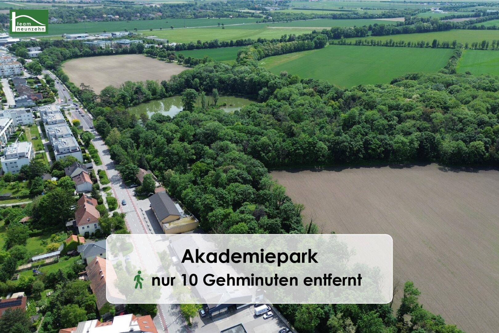 Slide 7