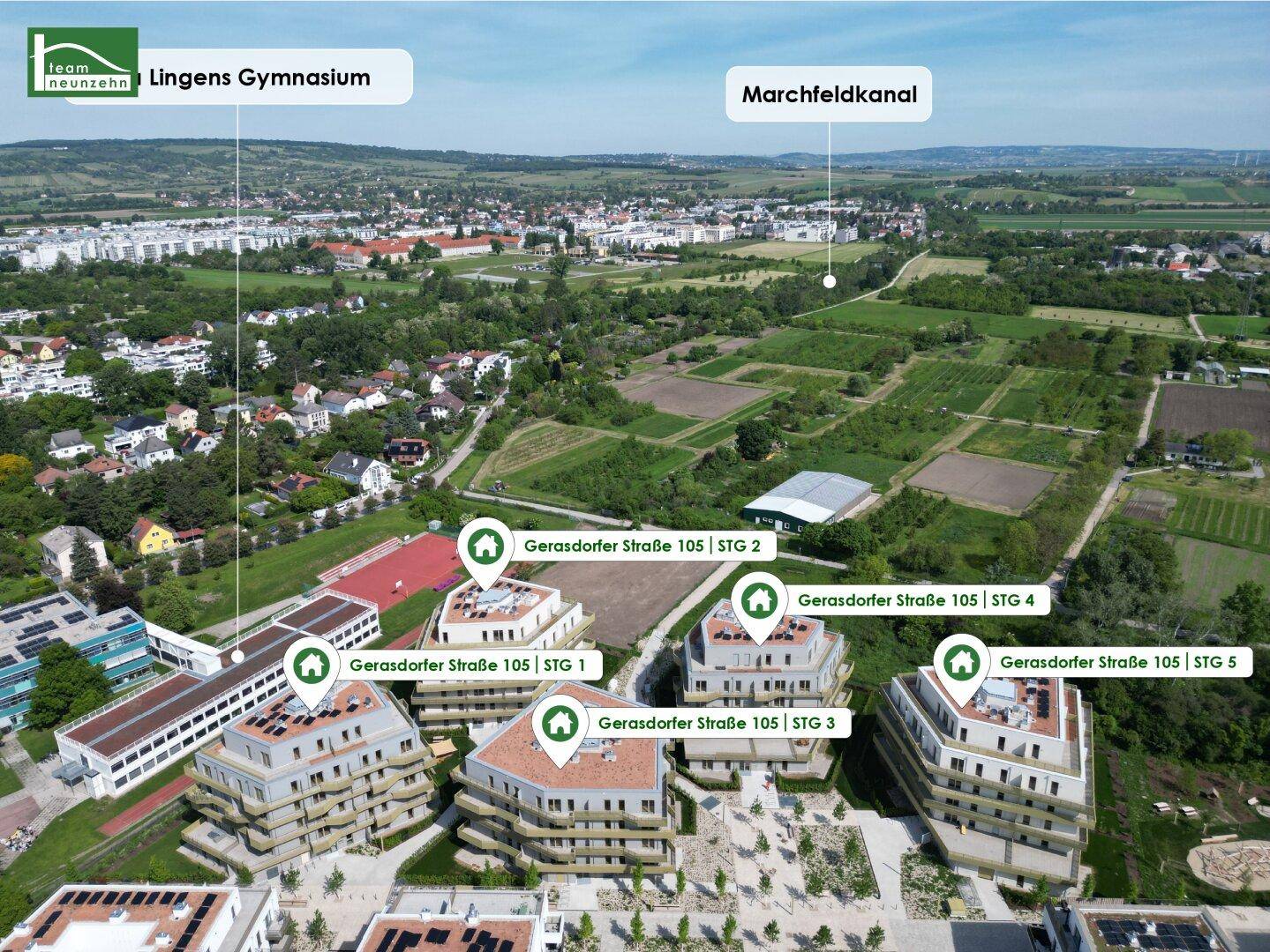 Slide 13