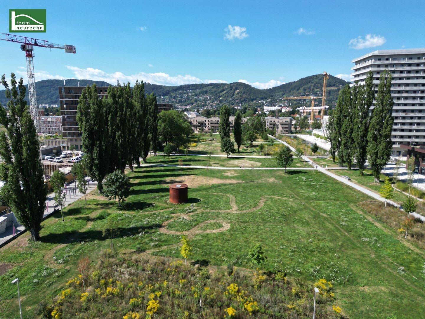 Weitläufige Parklandschaft mit Bäumen und modernen Gebäuden im Hintergrund.