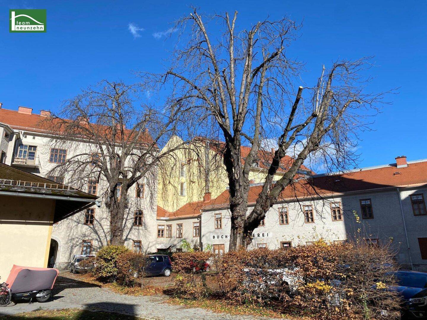 Ruhiger Innenhof mit großen Bäumen und historischen Gebäuden, bietet eine grüne Oase.