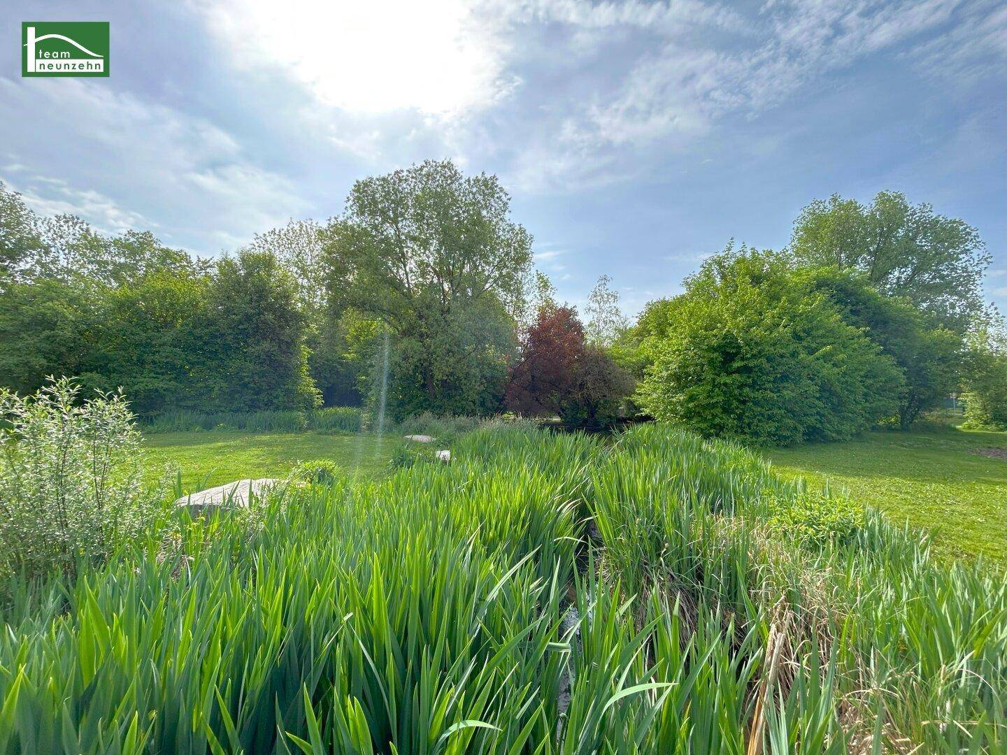 Üppige Grünfläche mit hohem Gras und Bäumen unter einem hellen Himmel, ideal zur Entspannung.