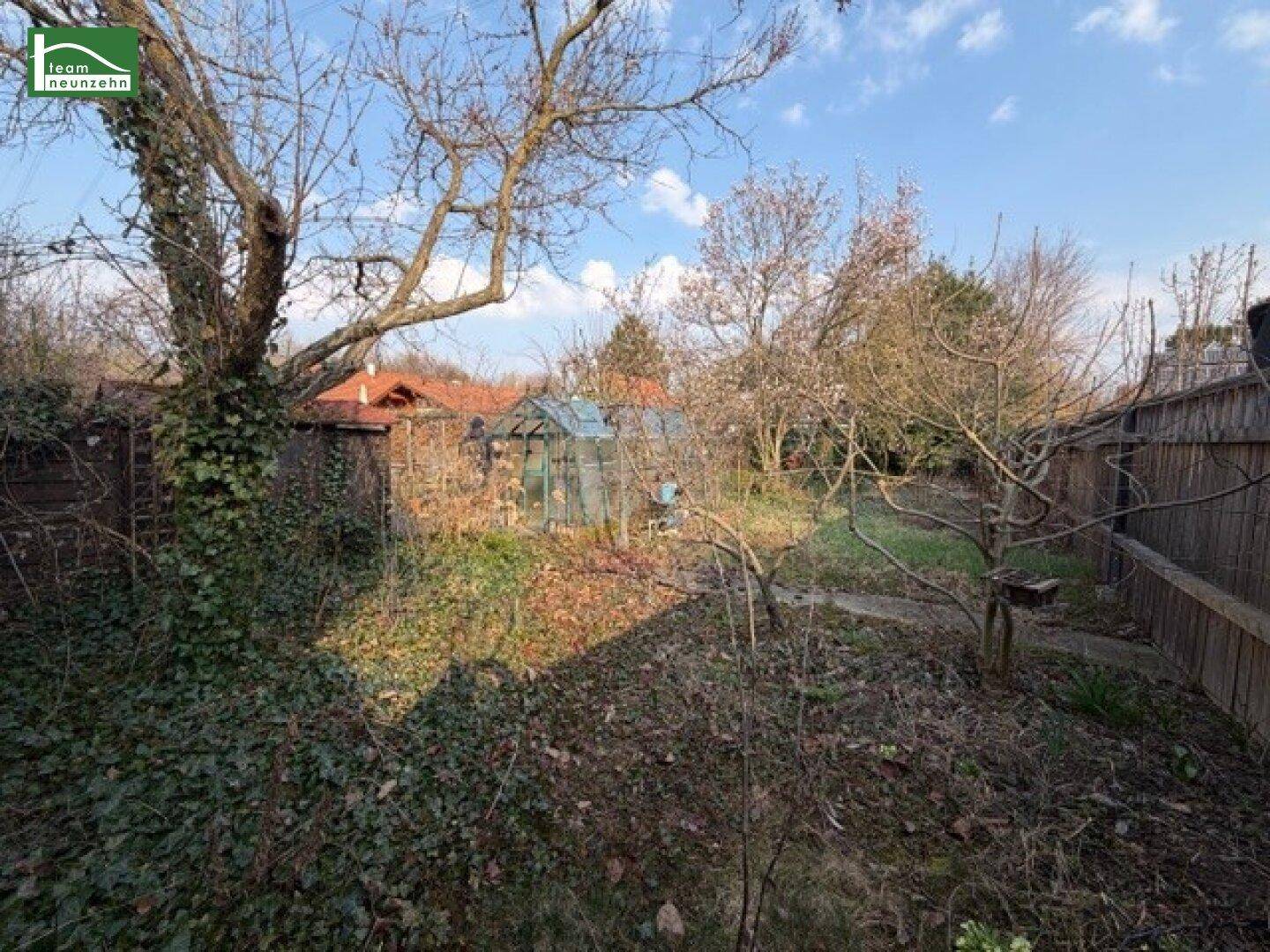 Blick in einen verwilderten Gartenbereich mit alten Bäumen und einem Zaun im Hintergrund.