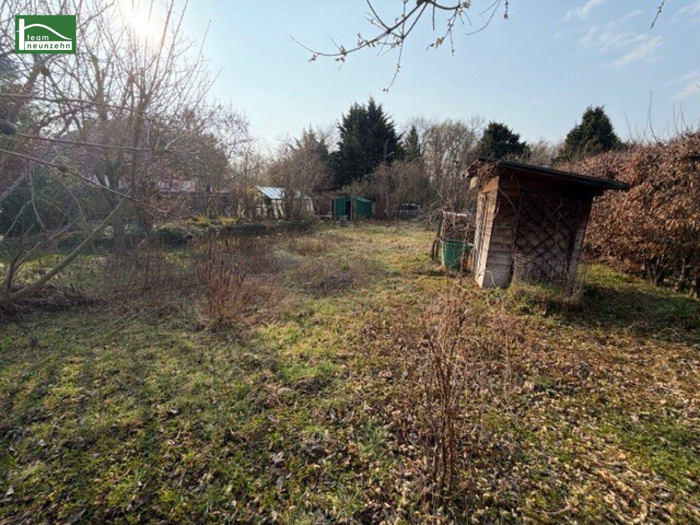 Gartenfläche mit einem kleinen Holzschuppen und umgebenden Bäumen unter blauem Himmel.