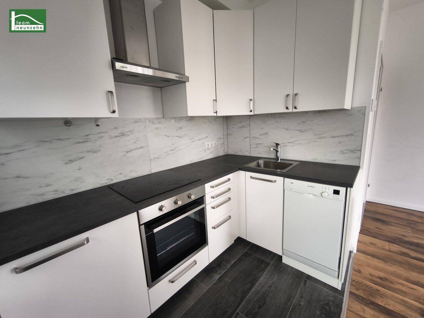 Detailansicht der modernen Küche mit Spülmaschine, Backofen und Dunstabzugshaube.