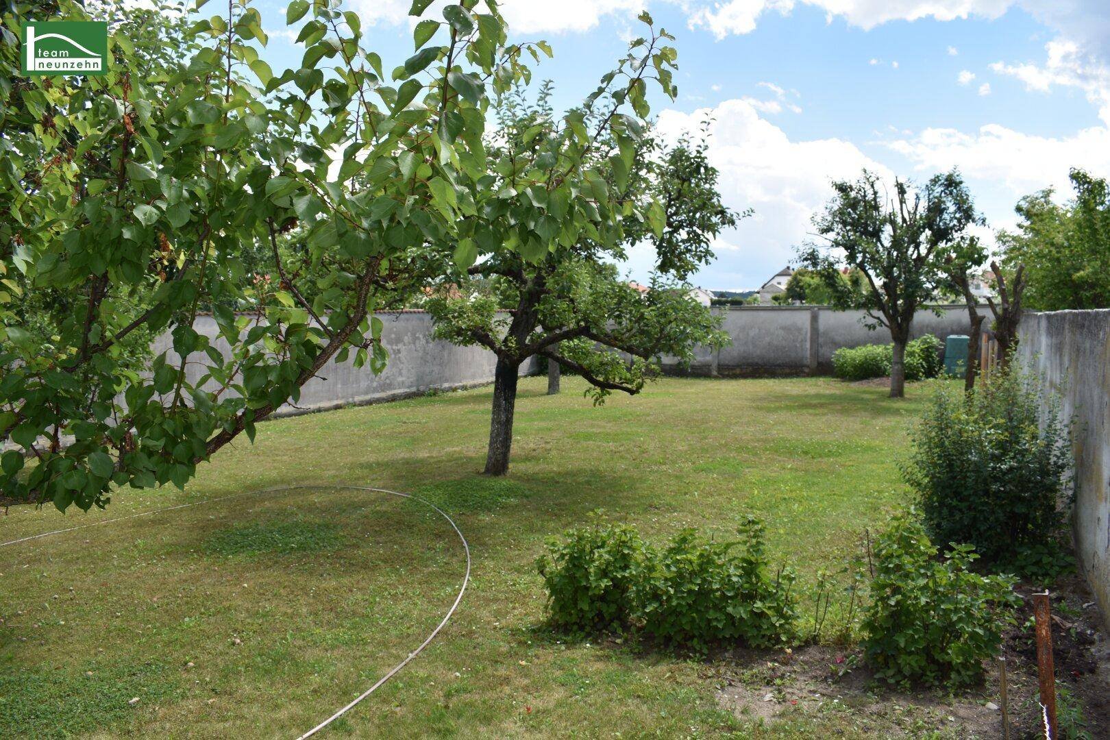 Gepflegter Garten mit Rasenfläche, Sträuchern und Obstbäumen unter blauem Himmel.