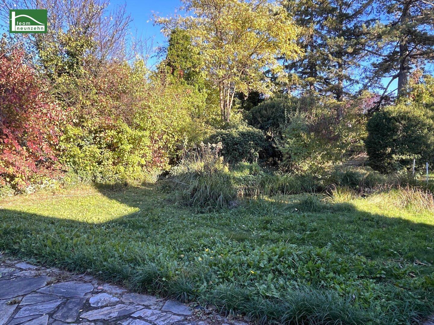 Naturbelassener Garten mit üppiger Vegetation, Bäumen und einem Steinweg im Vordergrund unter blauem Himmel.