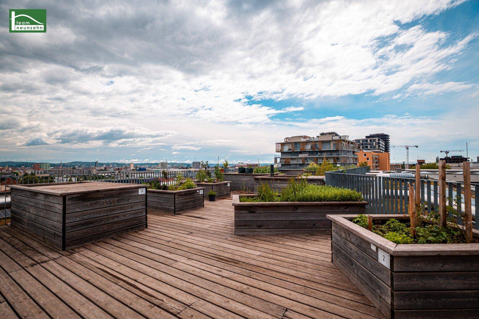 Begrünte Dachterrasse mit Holzdeck und Hochbeeten, bietet einen weiten Ausblick.