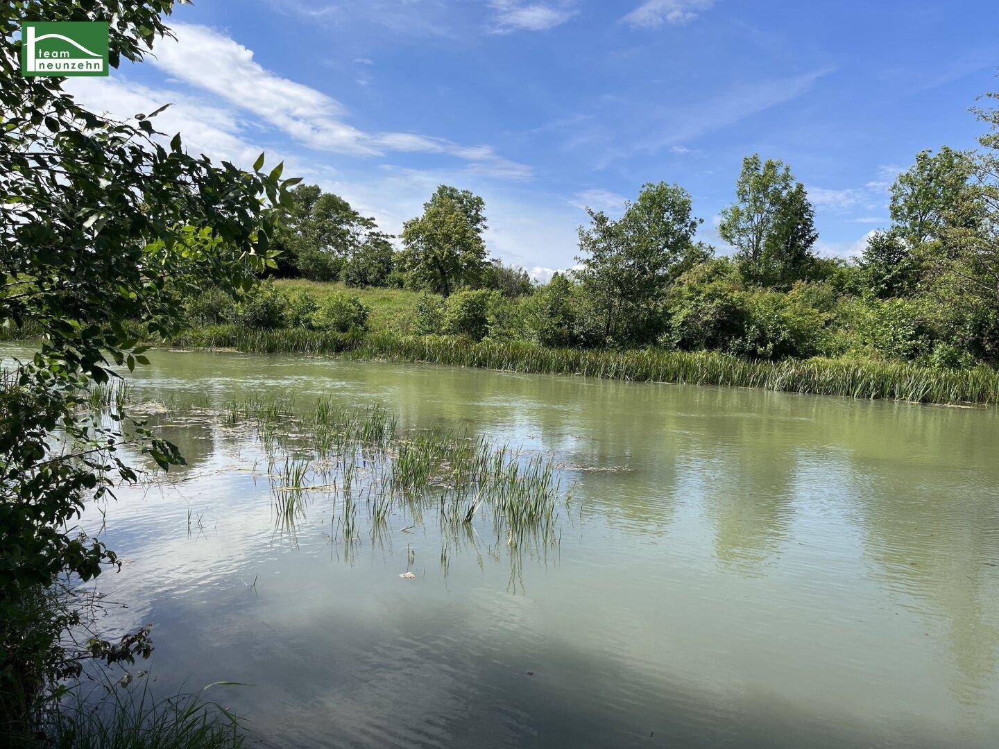 Natürliche Wasserlandschaft mit üppiger Vegetation unter blauem Himmel, ideal für Naturliebhaber.