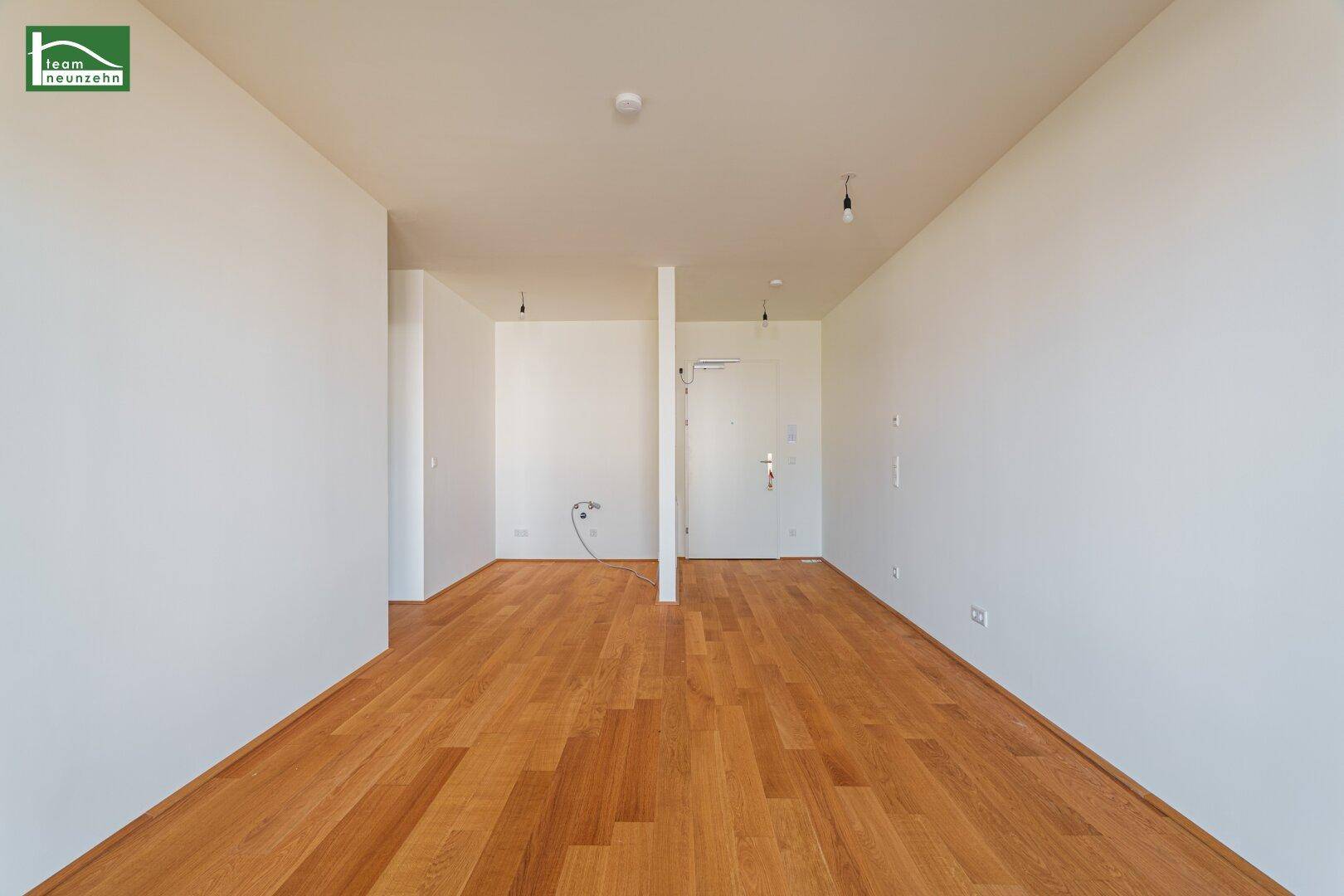 Geräumiger Eingangsbereich mit Holzboden und weiß gestrichenen Wänden, bereit zur individuellen Gestaltung.