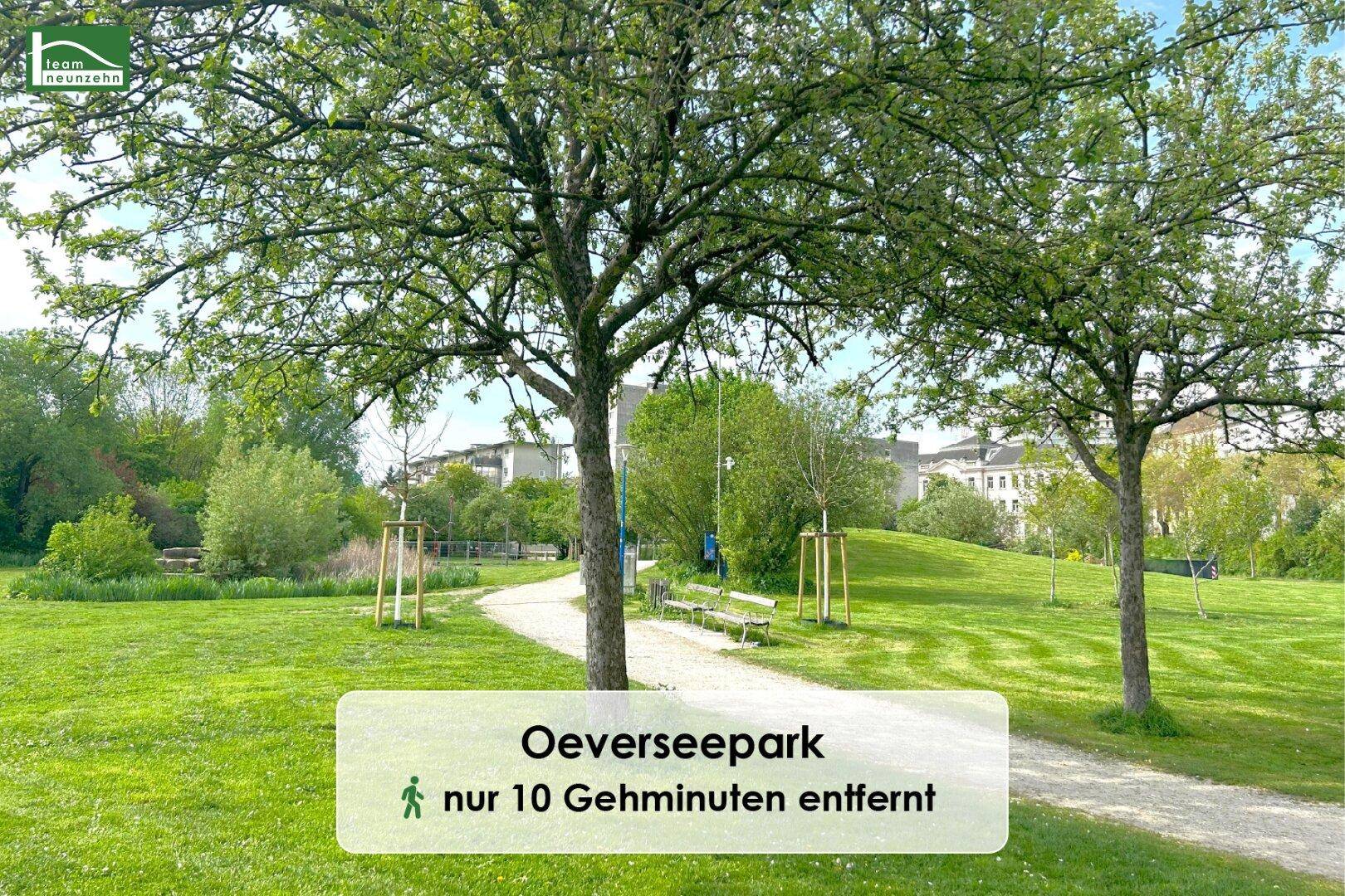Weitläufige Grünfläche des Oeverseeparks mit Bäumen und Spazierwegen an einem sonnigen Tag.