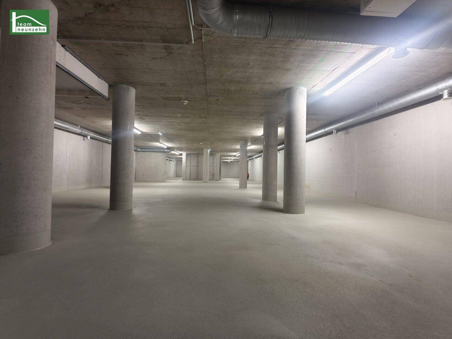 Heller und geräumiger Kellerbereich mit zahlreichen Betonstützen und sichtbaren Installationen an der Decke.