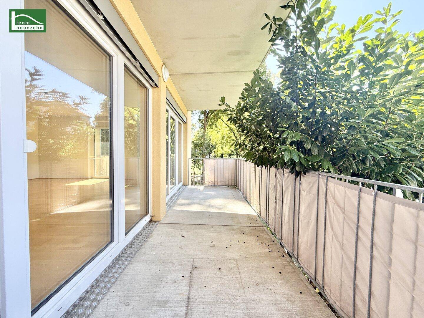 Langer, sonniger Balkon mit Sichtschutz und Zugang zu den Innenräumen, umgeben von Grün.