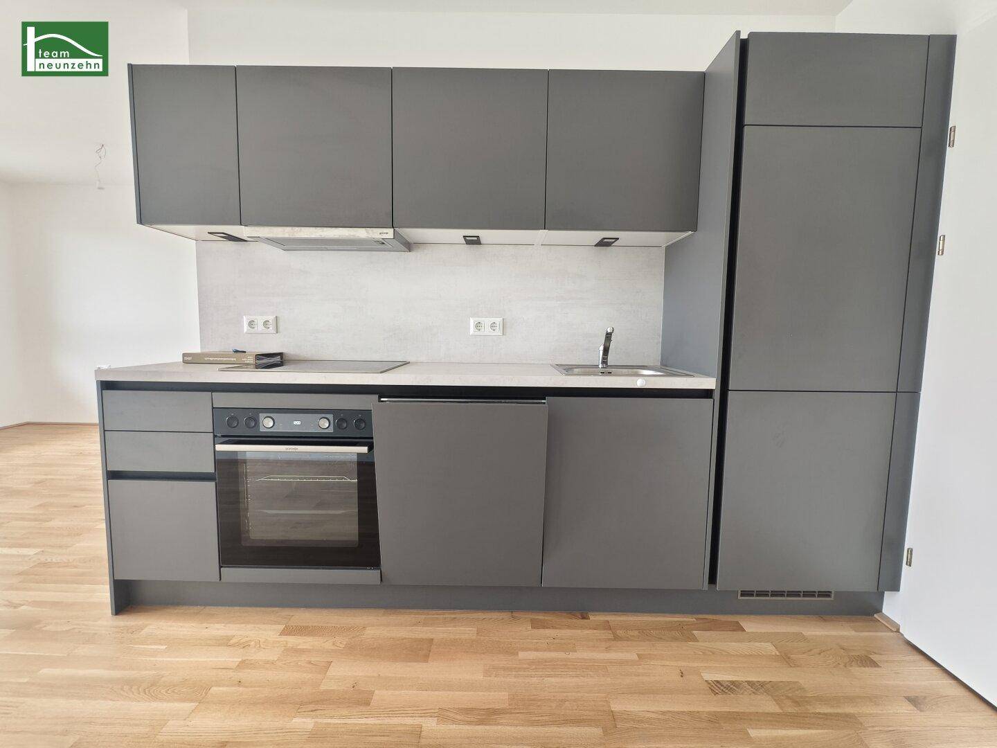 Moderne Einbauküche in Grau mit integriertem Backofen und Geschirrspüler.