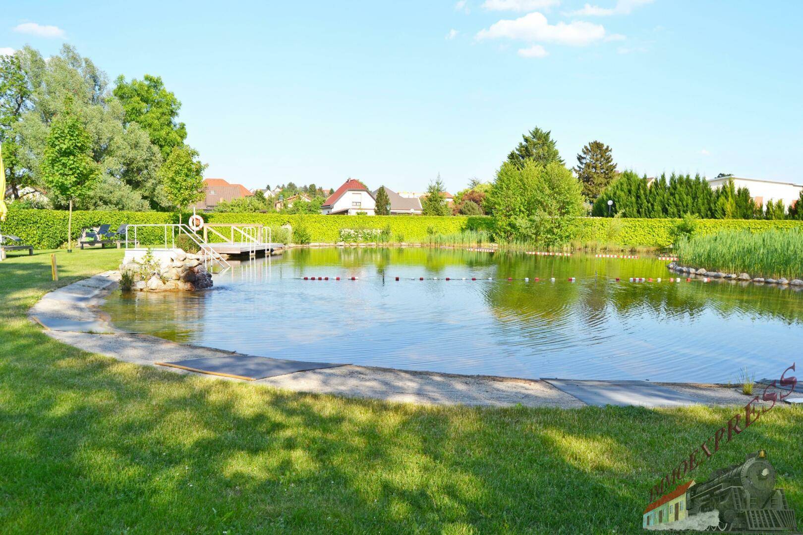 Idyllischer Schwimmteich umgeben von Rasen und Bäumen, ideal für Erholung im Grünen.