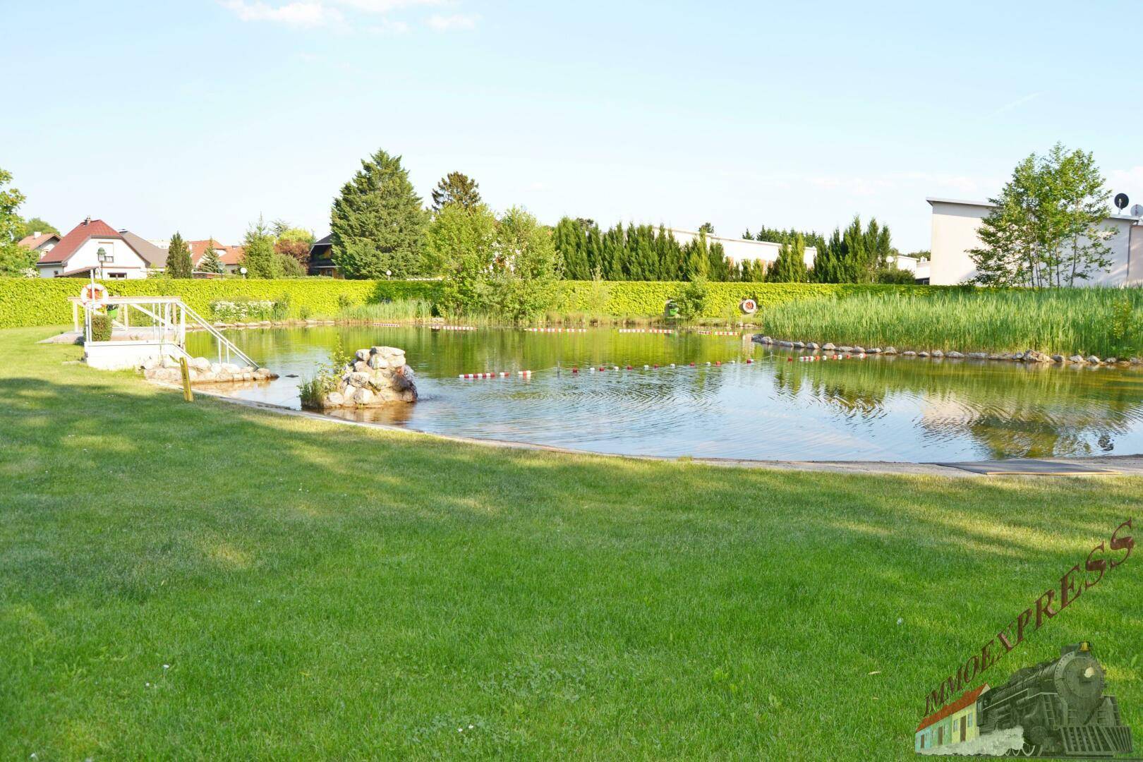 Weitläufige Grünfläche mit Schwimmteich und umliegender Hecke unter blauem Himmel.